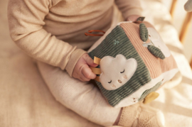 Jollein - Baby - Activiteitenkubus - Lovely birds