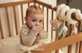 Jollein - Houten - Regenrammelaar - Lovely birds