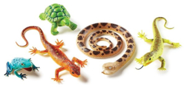 Learning Resources - Jumbo - Reptielen - Amfibieën