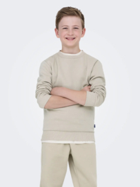 Only & Sons - Trui - Sweater - OSJCERES - Silver Lining