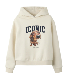 Name It - Hoodie - NKFSERA - Iconic - Birch