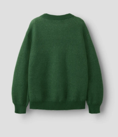 Name It - Gebreide Trui - Sweater - NKMNORTH - Eden