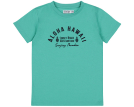 Dirkje - T-shirts - 2-pack - Aqua green + White