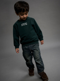 Name It - Sweater - Trui - NMMSLADE - 3D Backprint - Pine Grove