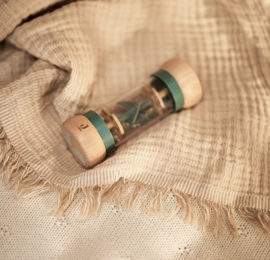 Jollein - Houten - Regenrammelaar - On the go