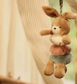 Jollein - Muziekhanger - Bunny Luz - Jollies
