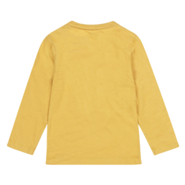 Dirkje - T-shirt  - Lange - Mouw - Ochre - Brave