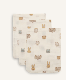 Jollein - Hydrofiele washandjes -15x20cm -  Jollies - 3 stuks