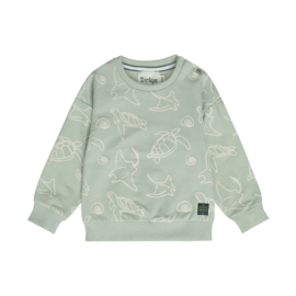 Dirkje - Trui - Sweater - Zeedieren - Soft Sage