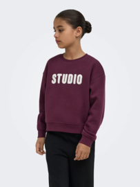 Only - Sweater - KOGSWEAT - Studio - Terry
