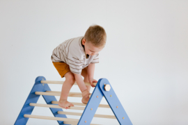Pikler Driehoek Montessori Klimrek met Glijbaan - Blauw