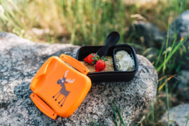 Bento lunchbox met koelelement Oranje
