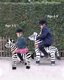 Ponycycle - Zebra