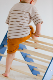 Pikler Driehoek Montessori Klimrek met Glijbaan - Blauw