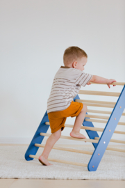 Pikler Driehoek Montessori Klimrek met Glijbaan - Blauw