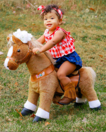 Ponycycle - Bruin paardje met witte hoefjes