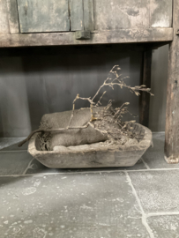 Chinese trog