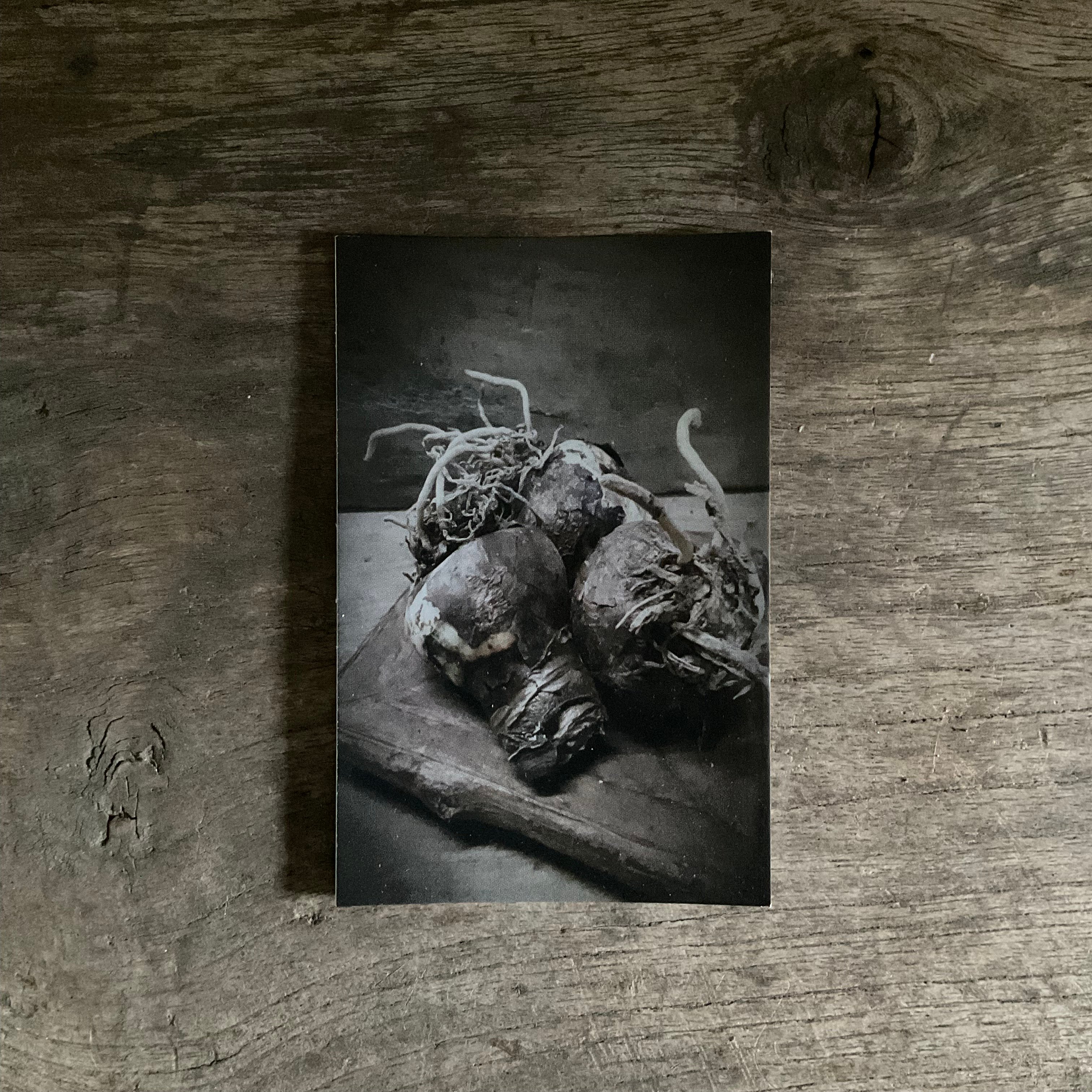 Cadeaukaartje, nr 1