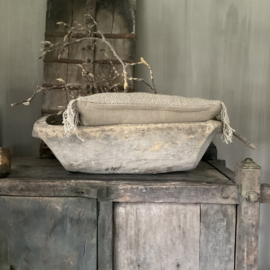 Chinese trog