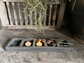 Houten bak met vakjes