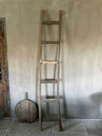 Ladder