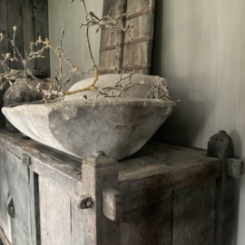 Chinese trog