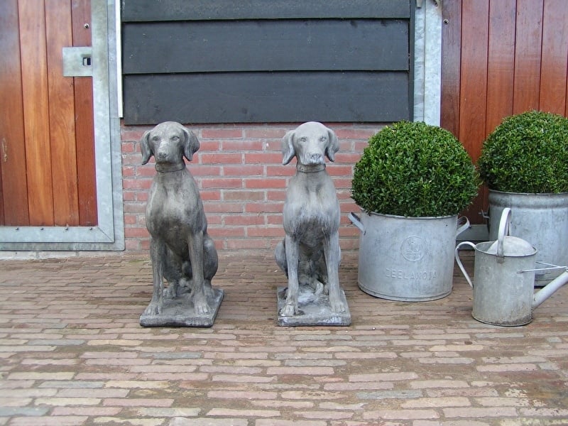 moe wraak Lijken Beeld zittende hond | Tuin, beelden, potten en div. | De Knotwilg Landelijk  Wonen