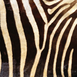 Vinyl Animal skin Zebra