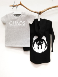 CHAOS creator