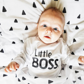 Little BOSS.