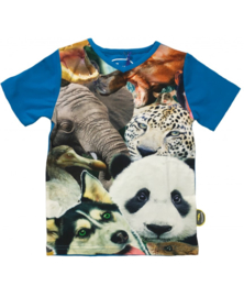 T-SHIRT SAFARI