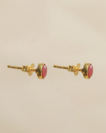 Guarani Rhodonite Gold Vermeil Earstuds / Muja Juma