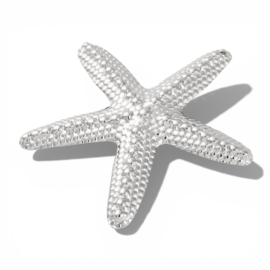 Zeester Bedel - Stainless Steel Zilver