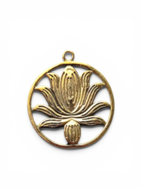 Lotus Bedel - Brass