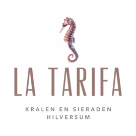 Lyani Labradoriet Oorbellen - Gold Plated