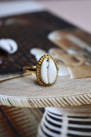 Dotted Cowrie Shell Ring Gold Vermeil 19