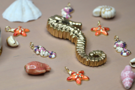 Zeepaardje Bedel Gold Plated