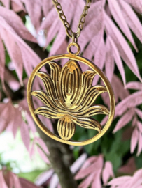 Lotus Bedel - Brass