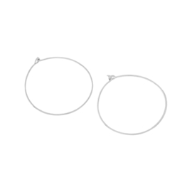 Oorringen Sterling Zilver (2x)