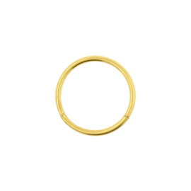 Click Ring Piercing - Chirurgisch Staal Goud