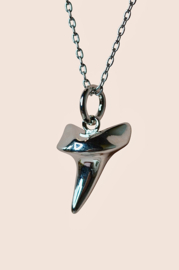 Haaientand Ketting - Silver Plated