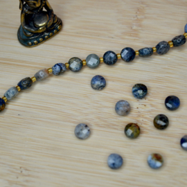 Dumortieriet Facet Coin Kralen (10 pcs)