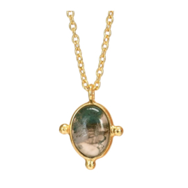 Cattleya Armelle Moss Agate  / Muja Juma