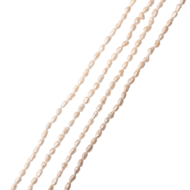 Zoetwater Parel 2.5 x 3.5 mm Kralen