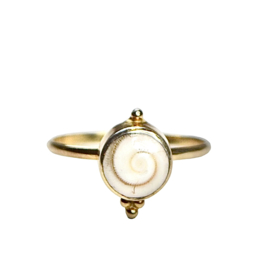 Dotted Shiva Shell Ring Gold Vermeil 17