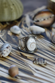 Tribal Shiva Shell Ring Sterling Silver