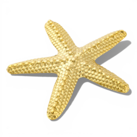 Zeester Bedel - Stainless Steel Goud