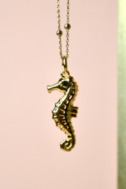 Zeepaardje Bedel Gold Plated