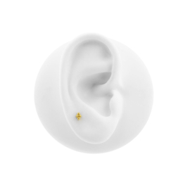 4 Balletjes Labret Piercing - Titanium Goud