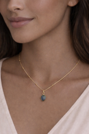 Labradoriet Mystic Leaf Ketting - Gold Plated